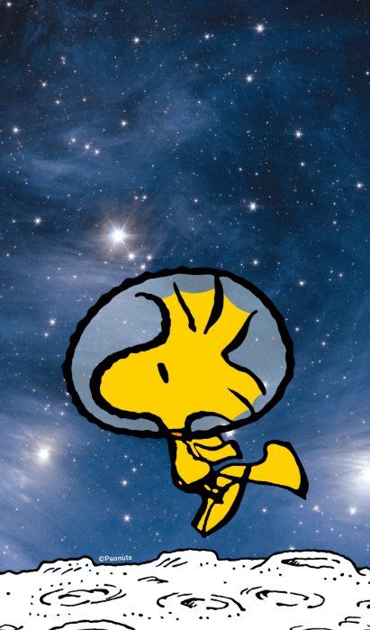 Loris Animal, Charlie Brown Wallpaper, Mickey Mouse Background, Epic Backgrounds, Peanuts Wallpaper, Snoopy Tattoo, Snoopy Stuff, Peanuts Party, Woodstock Snoopy