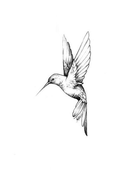 Bird Carrying Flower Tattoo, Birds On Back Tattoo, Hummingbird Tattoo Black, Mockingbird Tattoo, Lark Tattoo, Hummingbird Sketch, Bird Shoulder Tattoos, General Tattoo, Little Bird Tattoos