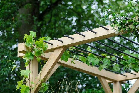 Discover some of the best plants for growing up and over garden pergolas, including climbing plants for fruit and scent – from BBC Gardeners' World Magazine. Pergola Corner, Small Pergola, Building A Pergola, Pergola Lighting, Garden Vines, Pergola Canopy, Wooden Pergola, Backyard Pergola, Pergola With Roof