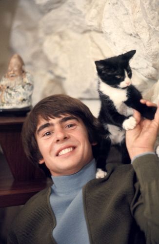 Davy Jones Monkees, Celebrities With Cats, Men With Cats, Thomas Jones, Michael Nesmith, Fluffy Kittens, Adorable Kitten, Davy Jones, Cat Tags