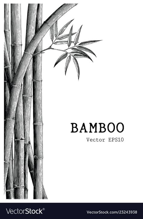 Bamboo Poster Design, Bamboo Drawing Sketch, Bamboo Tree Drawing, Bamboo Sketch, Draw Learning, Bamboo Illustration, Bamboo Drawing, Municipal Hall, Bamboo Background