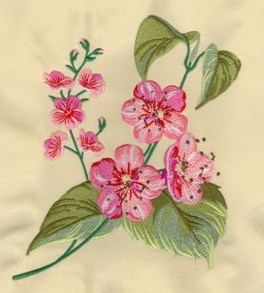 Apple Blossoms, Embroidery Design Sets, Apple Blossom, Machine Embroidery Designs, Embroidery Design, Embroidery Patterns, Machine Embroidery, Embroidery Designs, Blossom