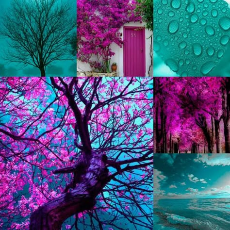 (Photos not mine) teal turquoise magenta pink purple nature trees aesthetic collage Pink Purple Aesthetic, Turquoise Aesthetic, Teal Color Palette, Purple Pink Color, Black Color Palette, Purple Color Palettes, Color Schemes Colour Palettes, Color Palette Pink, Color Magenta