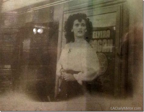 Photo: Elizabeth Short and a poster reading “Elvira” (1946) on display at the Los Angeles Police Historical Society. The poster in the background could be 'Elvira Pagan': a showgirl who frequently performed in Las Vegas, and starred in a film called 'Vegas Nights'. The building she is standing in front of is possibly 'Earl Carroll's' on Sunset Boulevard. Interestingly, Jean Spangler worked there - she would later go missing in Hollywood, and has never been found. Elisa Lam, James Ellroy, The Black Dahlia, Celebrities Who Died, Haunting Photos, Black Dahlia, Iconic Women, Historical Society, American Horror Story