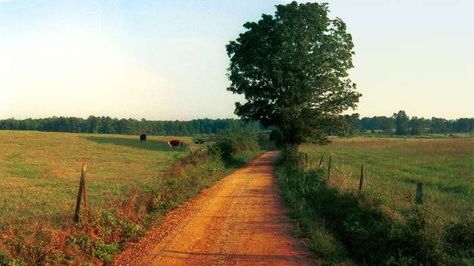 dirt road - Google Search Amish Farm, Dirt Roads, Small Town Life, Fence Posts, Dirt Road, Back Road, To Infinity And Beyond, Country Farm, Take Me Home