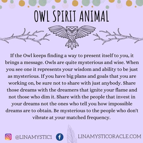 Owl Meaning Symbols, Spiritual Meaning Of Owls, Owl Omen Meaning, Owl Spiritual Meaning, Owl Spirit Animal Meaning, Snake Totem, Owl Symbolism, Owl Facts, Spirit Animal Meaning