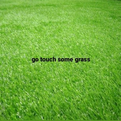 Go Touch Some Grass Reaction Pic, Touch Grass Nah Bro Touch Me Instead, Touching Grass Aesthetic, Touch Grass Reaction Pic, Grass Wallpaper, Daily Mood, Psychology Quotes, Miss America, Iphone Background Wallpaper