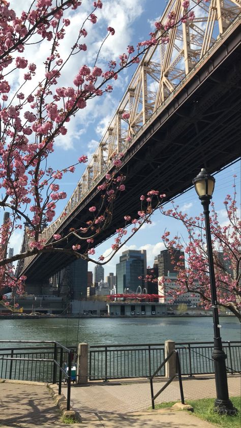 📍roosevelt island, nyc🌸 Roosevelt Island Nyc, Calm Images, Nyc Wallpaper, City Aesthetics, Home Nyc, Roosevelt Island, Nyc Aesthetic, Ellis Island, Background Check