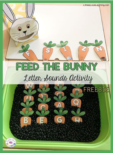 FREE Feed the Bunny game for preschool, pre-k, & kindergarten. This free printable includes a bunny face & 26 carrots with the letter/ beginning sound picture on each. Students will feed the carrots to the bunny to practice the alphabet (phonics). The bunny is made from an empty square tissue box. Make this letter activity even more fun by putting the carrots into a sensory bin! Sensory bin filler ideas include black beans, Easter grass, or colored rice. Great game for Easter or spring! Feed The Bunny Activity, Bunny Game, Easter Activities For Preschool, Letter Activity, Bunny Activities, Easter Kindergarten, Letter Sound Activities, Easter Lessons, Literacy Activities Preschool