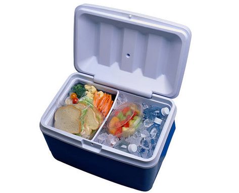 Techni Ice Cooler offers best ice retention that keeps your food and drinks cool  even under extremely high temperatures. Winter Storm Preparedness, Food Thoughts, Food Safety Tips, Winter Safety, Camping Safety, Alarm Systems For Home, Trendy Food, Vacation Meals, Home Security Tips