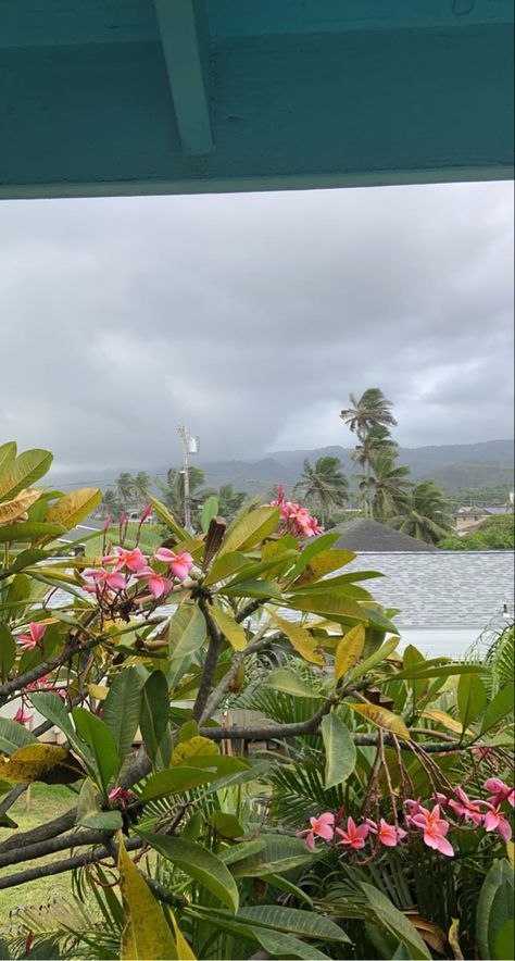 Rainy Hawaii, Hawaii Aesthetic, Flowers Pretty, Aesthetic Flowers, My Favorite Part, Happy Place, Cartoon Character, Rainy Day, Happy Places