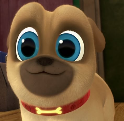 Rolly from Puppy Dog Pals Cat Cartoon Images, Puppy Pals, Puppy Dog Pals, Funny Puppies, Cat Cartoon, Pugs Funny, Character Collection, Puppies Funny, Cartoon Images