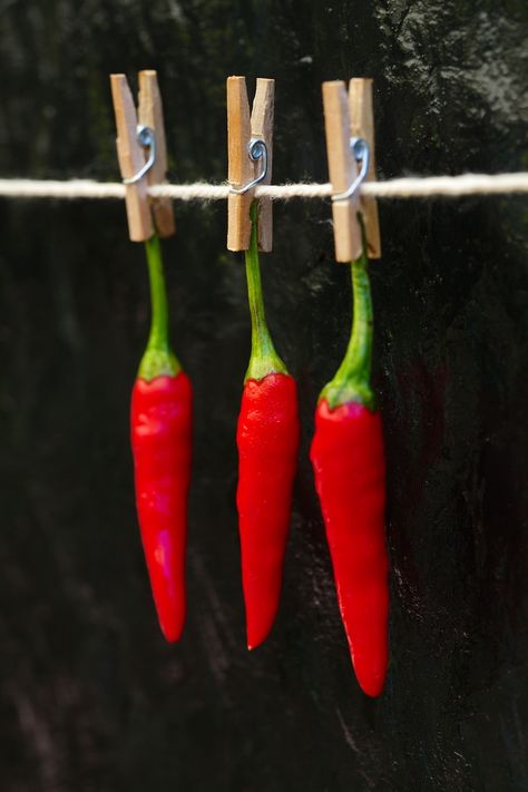 Food Art Photography, Fruit Picture, Hot Peppers, Food Photography Inspiration, Fruit Photography, New Fruit, Foto Tips, Chilli Pepper, Chili Peppers