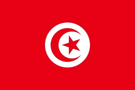 Flag of Tunisia Tunisia Hammamet, Tunisian Recipes, Ons Jabeur, Symbols Of Islam, Tunisia Africa, Tunisia Flag, Maritime Flags, Toefl Ibt, World Flags