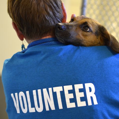 Why not...volunteer? Unicef Volunteer, Animal Shelter Volunteer, Community Volunteering, Volunteer Travel, Small Business Social Media, Volunteer Work, Animal Advocacy, Work Motivation, Driving School