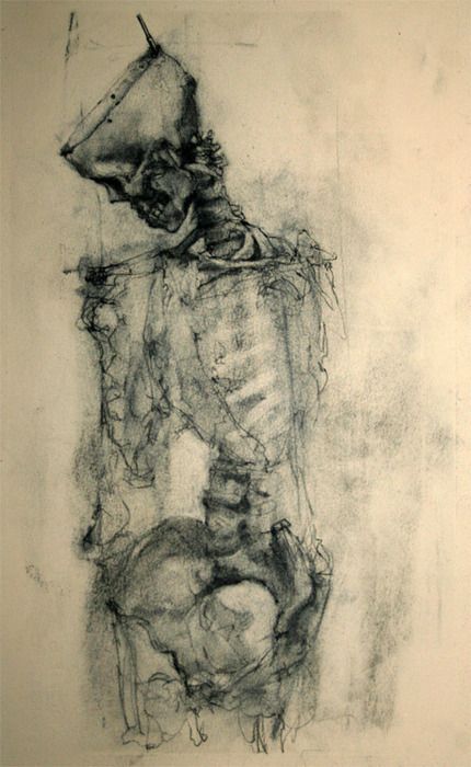 Skeleton. Art Macabre, David Smith, Charcoal Drawings, Skeleton Art, A Skeleton, Junji Ito, Anatomy Art, Skull And Bones, Memento Mori