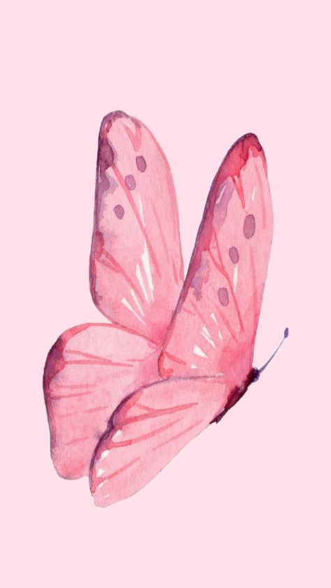 Study Board, Pink Iphone, Butterfly Wallpaper, Desktop Wallpaper, Butterflies, Iphone Wallpaper, Screen, Wallpapers, Collage