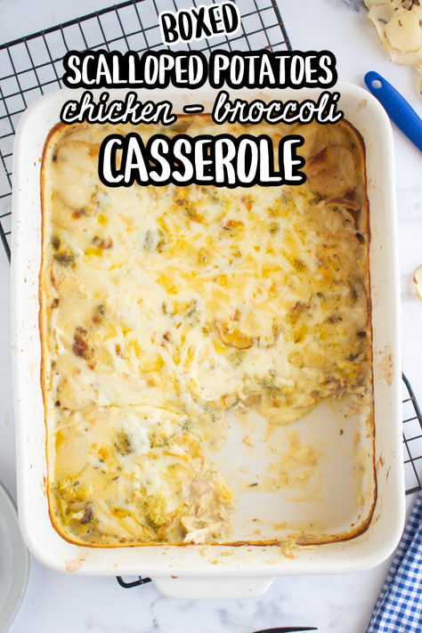 If you have a box of scalloped potatoes in your pantry, you NEED to make this easy, comforting, creamy potato chicken casserole! Boxed Scalloped Potatoes, Company Casserole Recipe, Betty Crocker Scalloped Potatoes, Scalloped Potatoes With Cream, Company Casserole, Dump And Bake Casseroles, Potato Chicken Casserole, Scalloped Potato Casserole, Easy Chicken Casserole