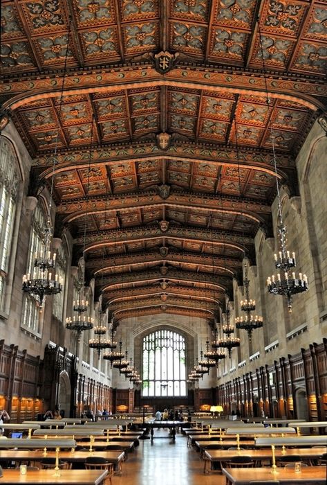 Escaping reality with this Harry Potter-esque building. | 31 Places Bookworms Would Rather Be Right Now Michigan Ann Arbor, University Of Michigan Ann Arbor, Ann Arbor Michigan Aesthetic, University Of Michigan Aesthetic, Michigan Scenery, Michigan Aesthetic, Finally Graduated, Old University, University Of Michigan Library