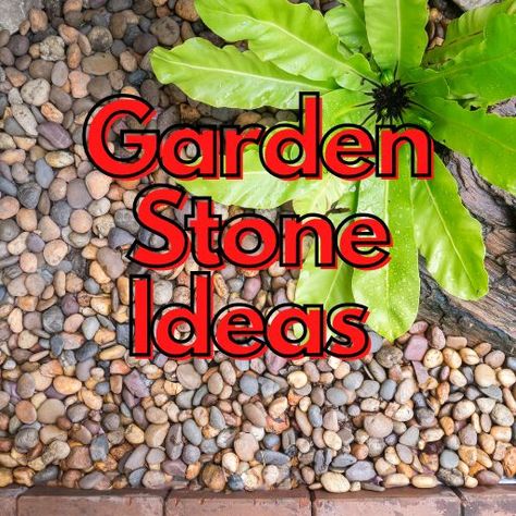 10 Creative Garden Stone Ideas To Spruce Up Your Yard Garden Stones Landscape, Garden Stone Ideas, Decorative Stones Garden, Moving Plants, Stone Ideas, Garden Stepping Stones, Stone Fountains, Gardening Techniques, Stone Planters