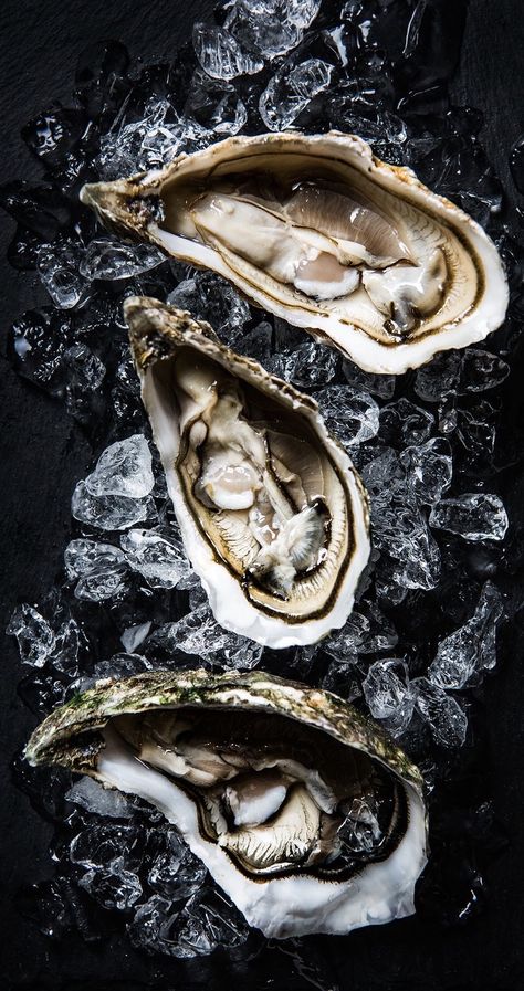 Oyster Food Photography, Oysters Photography, Oyster Photography, Eating Oysters, Dark Food Photography, Fresh Oysters, Coquille Saint Jacques, Cooking Art, Food Safety