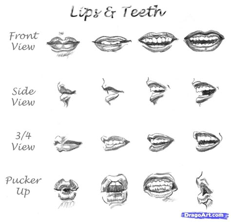 Lips Step By Step, How To Draw Lips, Lips Sketch, Draw Lips, Drawing Lips, Draw Realistic, Mouth Drawing, Tree Drawings Pencil, How To Shade