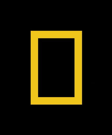 just realized the national geographic logo is just a rectangle.. National Geographic Design, National Geographic Logo, Builders Logo, National Geographic Wallpaper, Golden Rectangle, Door Logo, Rectangle Logo, Museum Logo, Logo Quiz