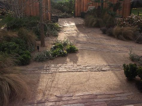 compacted gravel path broken up with lines of natural stone ... Compacted Gravel Pathway, Compacted Gravel, Gravel Gardens, Green Roof Garden, Gravel Pathway, Gravel Path, Australian Garden, Gravel Garden, Stone Walkway