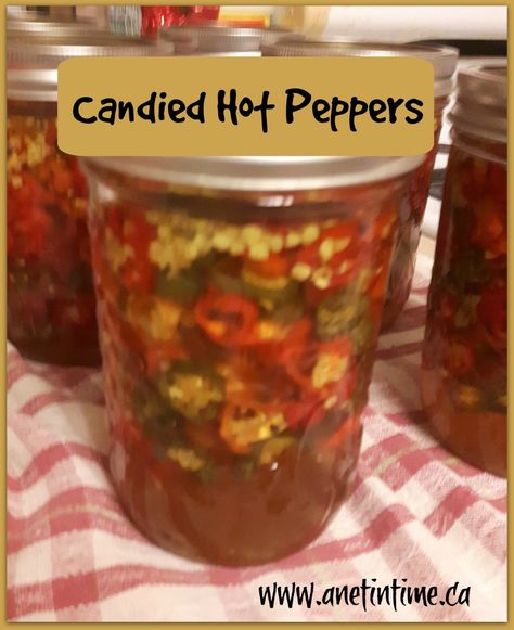 Candied Ghost Peppers, Candied Hot Peppers, Ghost Peppers Recipes, Cowboy Candy Peppers, Candied Peppers Recipe, Pickled Ghost Peppers, Ghost Pepper Recipes Ideas, Candied Habanero Peppers, Candied Habaneros