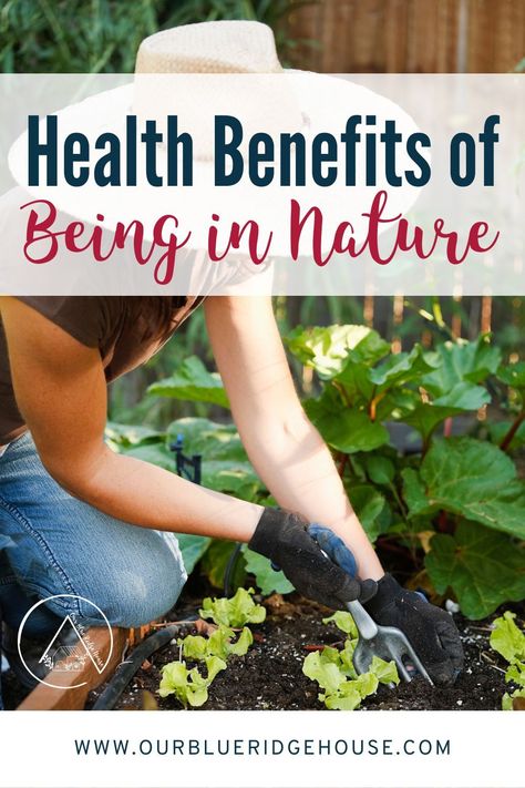 the health benefits of being in nature, how nature effects our mental and physical health, and ways to get outside in nature more. #nature #healthbenefits Nature Benefits, Brain Health Supplements, Being In Nature, Smoothie Bowl Healthy, Natural Beauty Remedies, Organic Supplements, Mental And Physical Health, Homemade Cleaning Solutions, Wellness Inspiration