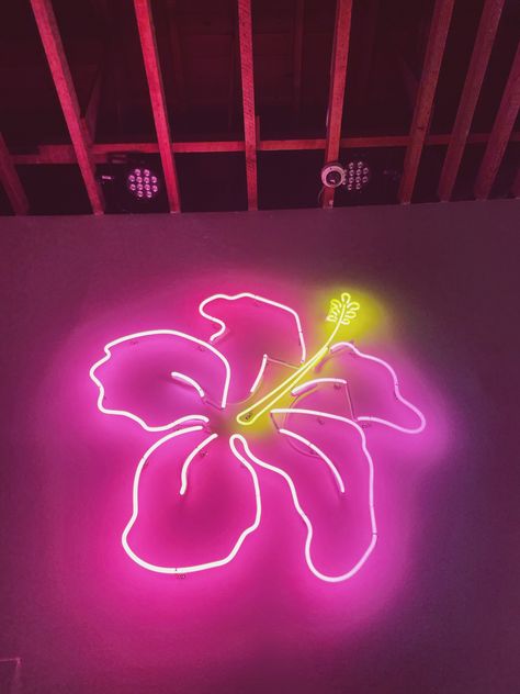 Hibiscus Flower Room Decor, Hibiscus Flower Decor, Neon Flowers Aesthetic, Florence Quotes, Neon Bedroom Aesthetic, Florida Room Ideas, Ibiza Aesthetic, Display Booth Design, Neon Club