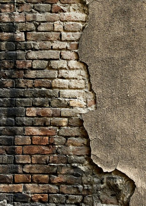 Brick Wall Color Palette, Old Brick Wall Texture, Home Gum, Brick Wall Texture, Old Brick Wall, Break Wall, Brick Texture, Old Bricks, Victorian Terrace