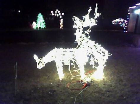 Deer House Xmas Lights, Funny Christmas Decorations, Christmas Lights Outside, Christmas Light Installation, Hanging Christmas Lights, Christmas House Lights, Lawn Art, Christmas Light Displays, Christmas Yard Decorations