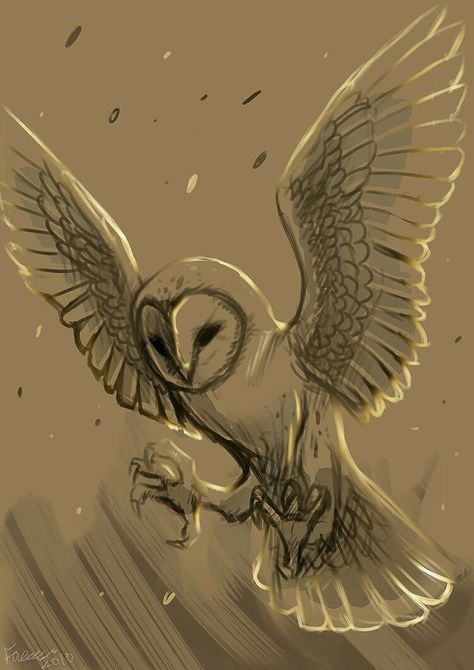 Barn Owl Drawing, Barn Owl Tattoo, Owl Tattoo Drawings, Owl Sketch, Fly Drawing, Animal Tattoo Ideas, Brown Owl, Owls Drawing, Owl Tattoo