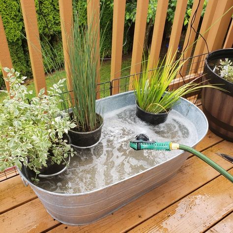 Diy Outdoor Fish Tank, Container Fish Pond Diy, Patio Ponds Ideas, Pond In A Pot With Fish, Porch Pond Diy, Patio Pond Diy, Container Water Gardens Mini Pond, Small Outdoor Fish Pond Ideas, Deck Pond Ideas