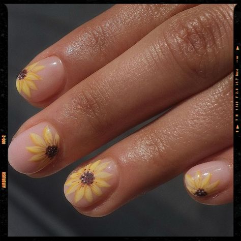 Short Nails - Sunflower Designs Nails Yellow Sunflower Nails, Sunflower Nail Art, Sunflower Nails, Daisy Nails, Minimal Nails, Cute Gel Nails, Shellac Nails, Short Nail Designs, Yellow Nails