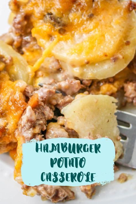 Hamburger Potato Casserole with tender potatoes and a creamy sauce is a hearty meal. This delicious dish makes the perfect weeknight meal. Cheesy Hamburger Casserole Potatoes, Beef Potato Casserole, Hamburger In Crockpot, Hamburger Potato Casserole, Hamburger And Potatoes, Veggie Casserole, Hamburger Casserole, Cabbage Casserole, Scalloped Potato Recipes