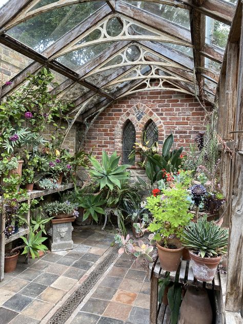 Greenhouse Shed, Indoor Greenhouse, Home Greenhouse, Backyard Greenhouse, Greenhouse Plans, Garden Greenhouse, Greenhouse Gardening, Take A Photo, Inspiration Photo