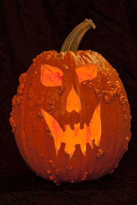 Tall Pumpkin Carving, Tall Pumpkin Carving Ideas, Carver One, Pumpkin Pulp, Tall Pumpkin, Spooky Food, Pumpkin Carving Ideas, Pumpkin Carving Templates, Carving Ideas