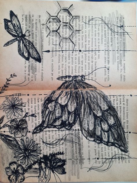 butterfly drawing on pages Butterfly Gcse Art Book, Artist Research Page, Creative Mind Map, Textiles Gcse, Observational Drawing, Sketchbook Cover, Human Head, Butterfly Drawing, Gcse Art