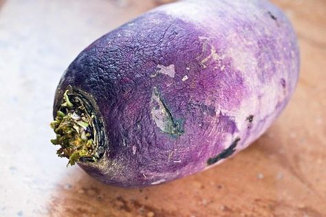 not lazy. rustic.: pickled korean purple radish Purple Radish, Daikon Radish, Radish Recipes, Right Decision, Fermented Foods, Eggplant, New Recipes, Pickles, Avocado