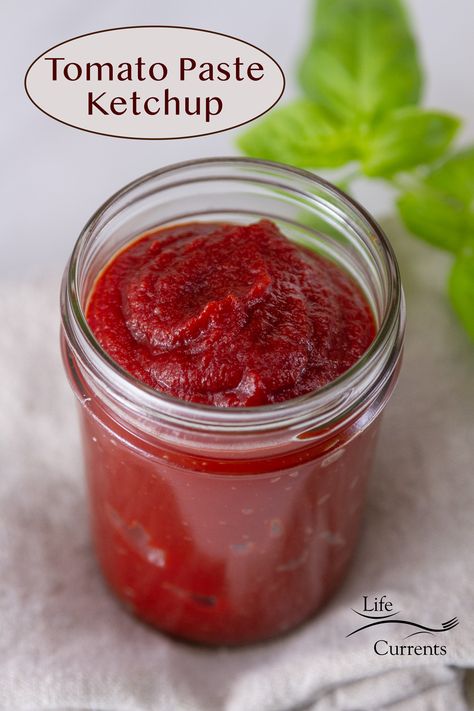 Ketchup Homemade, Tomatoes Recipes, Ketchup Recipe, Homemade Ketchup, Kitchen Basics, Heinz Ketchup, Homemade Pantry, Homemade Condiments, American Robin