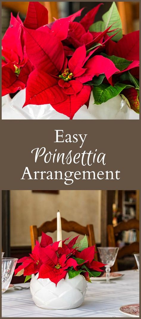 Learn how to make this simple poinsettia arrangement for your holiday table. You can make this in about 15 minutes and will probably have enough for two. Christmas Table Centerpieces Poinsettia, Pointsetta Decor, Poinsettia Centerpiece Diy, Fake Poinsettia Decorating Ideas, Pointsetta Centerpieces Christmas, Poinsettia Decorating Ideas, Diy Poinsettia, Poinsettia Arrangement, Taper Candle Centerpiece