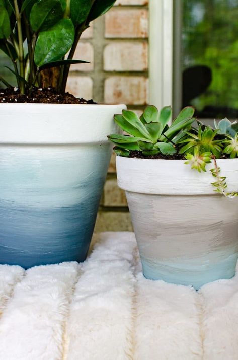 Ombre Pottery Painting, Terra Cotta Pot Crafts Diy Garden Ideas, Easy Terra Cotta Pot Painting, Plant Pot Painting Ideas Simple, Painting Clay Pots Terra Cotta, Renters Garden, Terra Cotta Pot Painting Ideas, Painting Terra Cotta Pots Ideas, Painted Flower Pots Terra Cotta