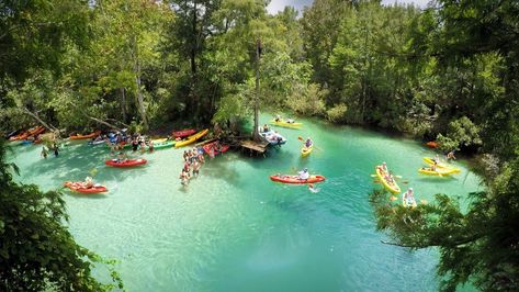 5 Things To Do At Weeki Wachee Springs - Every Day A Vacation Wiki Wachee Springs Florida, Weekie Watchie Springs, Weeki Wachee Florida, Weeki Wachee, Florida Parks, Tandem Kayaking, Natural Spring Water, Florida Destinations, Florida Springs