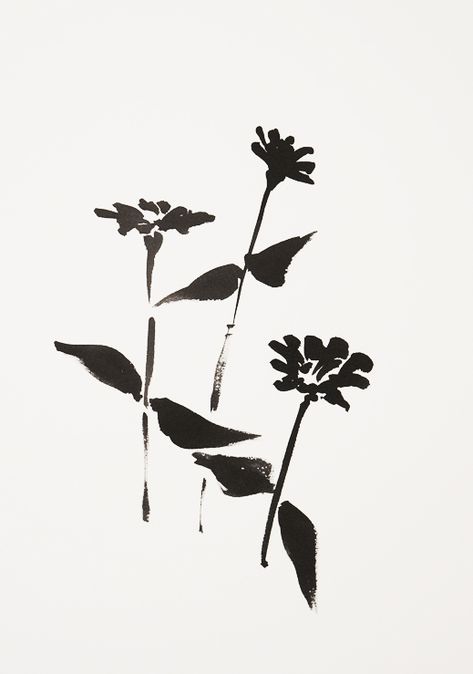 2018 · botanical study · "zinnia #1" by Veronique Gambier · #flower is #artist #zinnia #garden #summer #flower #sumiink #painting #art #blackink #black #ink #blackflower #contemporarydrawing #figurativeart Botanical Study, Zinnia Garden, Muster Tattoos, Sumi Ink, Black Ink Tattoos, Arte Inspo, Get A Tattoo, Mini Tattoos, Pretty Tattoos