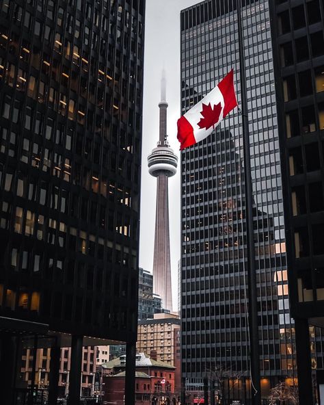 Immigration Aesthetic, Downtown Toronto Aesthetic, Night Aesthetic Toronto, Canada Toronto City, Sarina Bowen, Toronto Buildings Aesthetic, Toronto Views, Toronto Pictures, Toronto Downtown