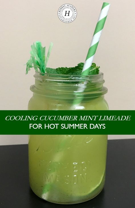 Copycat Cava Cucumber Mint Drink, Cava Cucumber Mint Lime Drink, Cava Cucumber Mint Drink, Cucumber Limeade Recipe, Aqua Frescas, Mint Limeade Recipe, Cucumber Limeade, Mint Limeade, Cucumber Drink