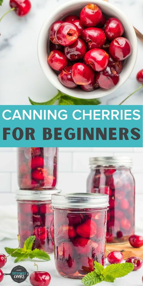 An easy step-by-step tutorial on Canning Cherries. This recipe for how to preserve cherries is perfect for beginners and experienced canners alike. Instructions include low-sugar and no-sugar options. How To Can Cherries, Cherry Preserves Recipe Canning, How To Preserve Cherries, Canning Cherries Recipes, Cherry Canning Recipes, Preserving Cherries, Cherry Preserves Recipe, Can Cherries, Canning Cherries