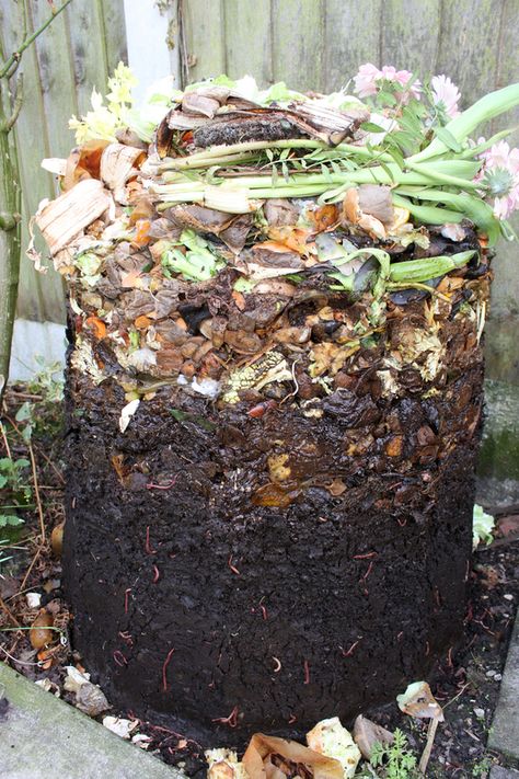 Start A Compost Bin, Composting For Beginners, How To Start Composting, Start Composting, Diy Compost, Dream Farm, Compost Tea, Composting At Home, Worm Composting